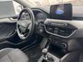 Ford Focus Turnier Cool & Connect Weiß - thumbnail 12