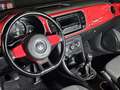 Volkswagen Beetle 1.2 TSI Beetlemanía 105 Rojo - thumbnail 10