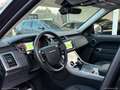 Land Rover Range Rover Sport 3.0 SDV6 249 HSE DYNAMIC Nero - thumbnail 9