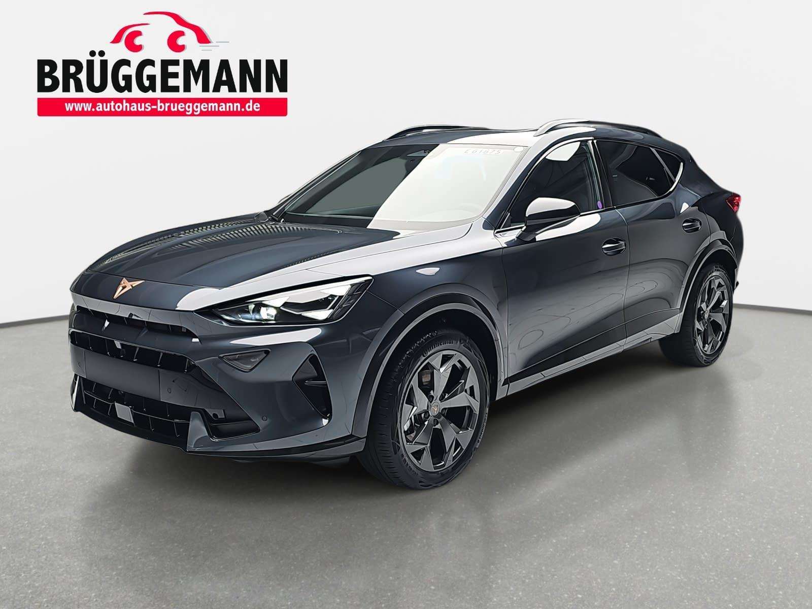 Second hand Cupra Formentor 1.5 dsg etsi