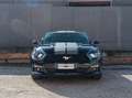 Ford Mustang Mustang Fastback 3.7 V6 - 305cv - Pronta consegn Noir - thumbnail 2