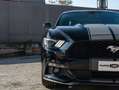 Ford Mustang Mustang Fastback 3.7 V6 - 305cv - Pronta consegn Noir - thumbnail 8