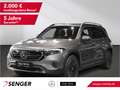 Mercedes-Benz EQB 300 EQB 250 Progressive 360°-Kamera Ambiente LED Gris - thumbnail 1
