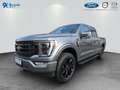 Ford F 150 F-150 V8 Black Edition Lariat deutsche Ausführung Сірий - thumbnail 1