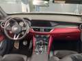 Alfa Romeo Stelvio Stelvio 2.9 bi-t V6 Quadrifoglio Nero - thumbnail 13