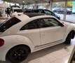 Volkswagen Beetle Beetle 1,6 TDI BMT DSG - thumbnail 2
