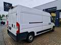 Fiat Ducato 2.2 D L4H2 3,5t KLIMA CAM PDC 3-SITZER Weiß - thumbnail 4