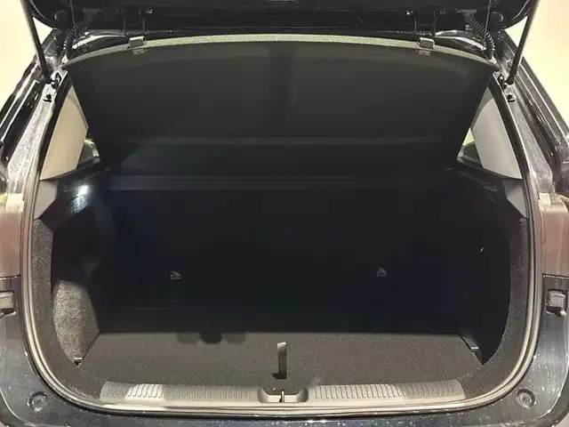 MG ZS view 7