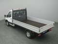 Ford Transit Pritsche EK 350 L3 Trend 165PS HA Blanc - thumbnail 19