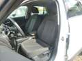 Audi Q2 30 TDI  AUT/AHK /NAVI/TEMP/Einparkhilfe Weiß - thumbnail 8