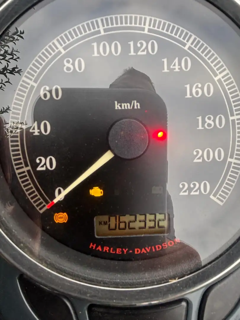 Harley-Davidson Heritage Softail Grau - 2