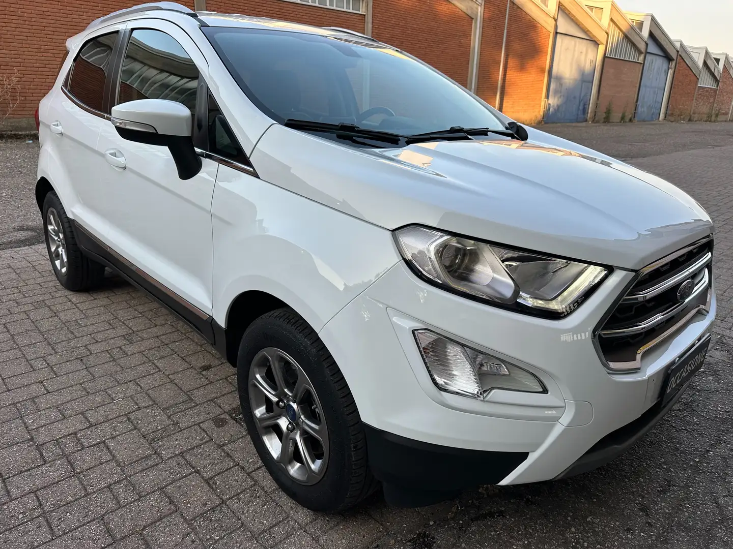 Ford EcoSport EcoSport 1.0 ecoboost Business c/navi 125cv Bianco - 2