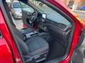 Ford Kuga Kuga 2.0 ecoblue ST-Line awd 150cv auto Rouge - thumbnail 9