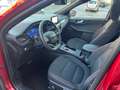 Ford Kuga Kuga 2.0 ecoblue ST-Line awd 150cv auto Rosso - thumbnail 7