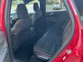 Ford Kuga Kuga 2.0 ecoblue ST-Line awd 150cv auto Rouge - thumbnail 8