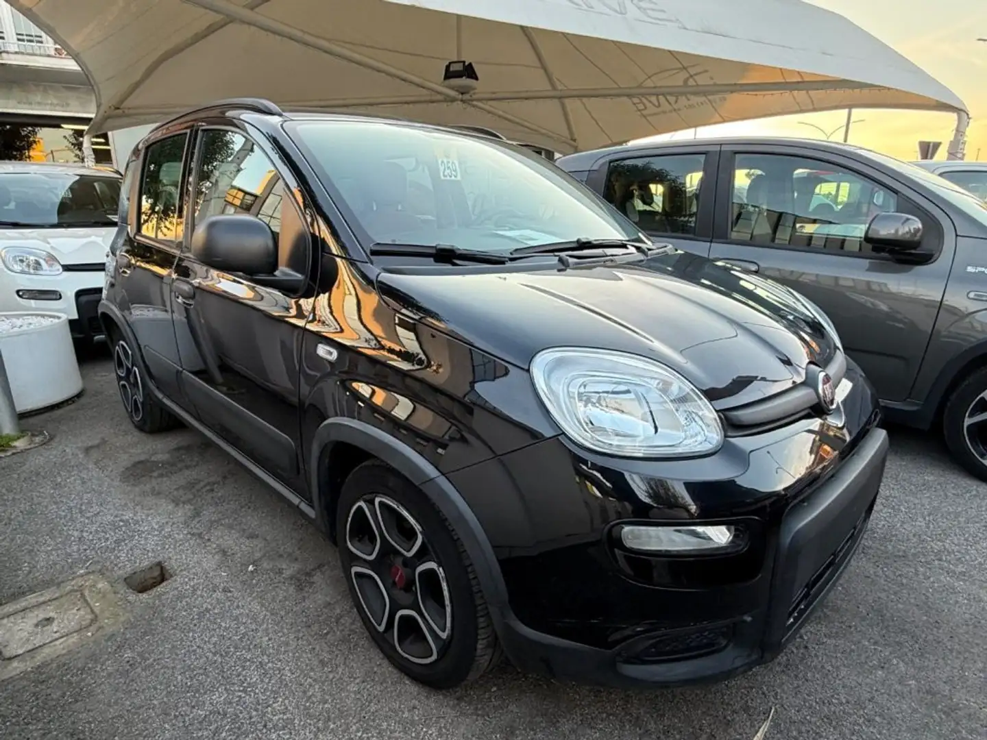 Fiat Panda 1.0 FireFly Hybrid City-Life + gpl Nero - 2
