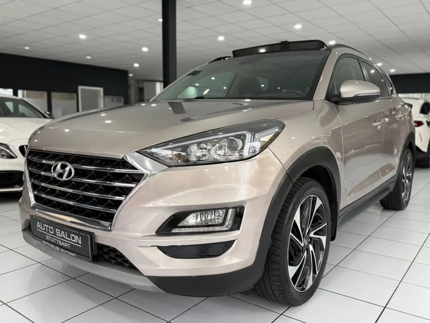 Hyundai TUCSON 2.0 CRDi Auto Premium 4WD*PANO*NAVI*TEMP* Brun - 1