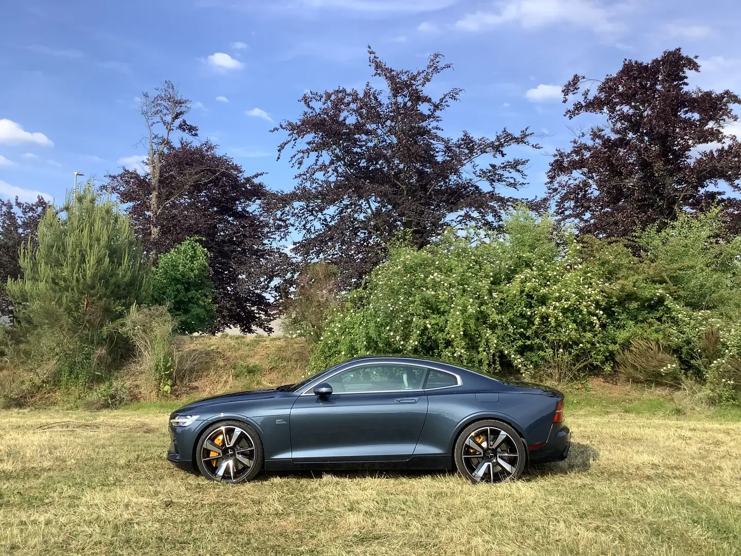 Polestar 1 Blau - 1