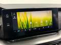 Skoda Octavia 2.0 TDi RS Combi DSG Navi/Matrix/Alcanta Argent - thumbnail 13