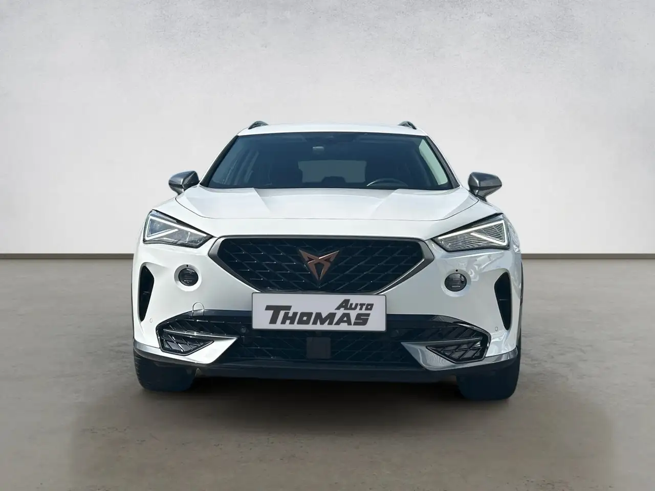 Cupra Formentor 1.5TSI DSG, миниатюра 5