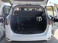 Ford B-Max 1.6TDCi Trend 95 Blanco - thumbnail 13