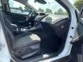 Ford Focus Titanium  AHK  Navi  Verkehrszeichen Weiß - thumbnail 27
