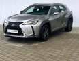 Lexus UX 250h UX 250 Launch Edition CAM/NAV/DAB/LED+/SH Silber - thumbnail 2