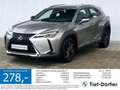 Lexus UX 250h UX 250 Launch Edition CAM/NAV/DAB/LED+/SH Silber - thumbnail 1