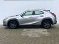 Lexus UX 250h UX 250 Launch Edition CAM/NAV/DAB/LED+/SH Silber - thumbnail 6