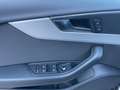Audi A4 A4 Avant 35 2.0 tdi mhev Business 163cv s-tronic Grau - thumbnail 9