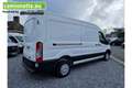 Ford Transit 310 2.0 TDCI L3H2 Trend Weiß - thumbnail 3