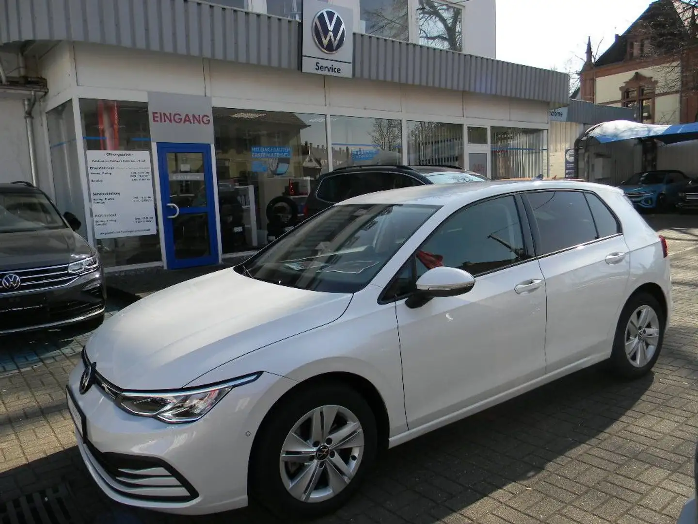 Volkswagen Golf VIII Lim. Life 1,5 TSI 6 GANG AHK, STH Weiß - 1
