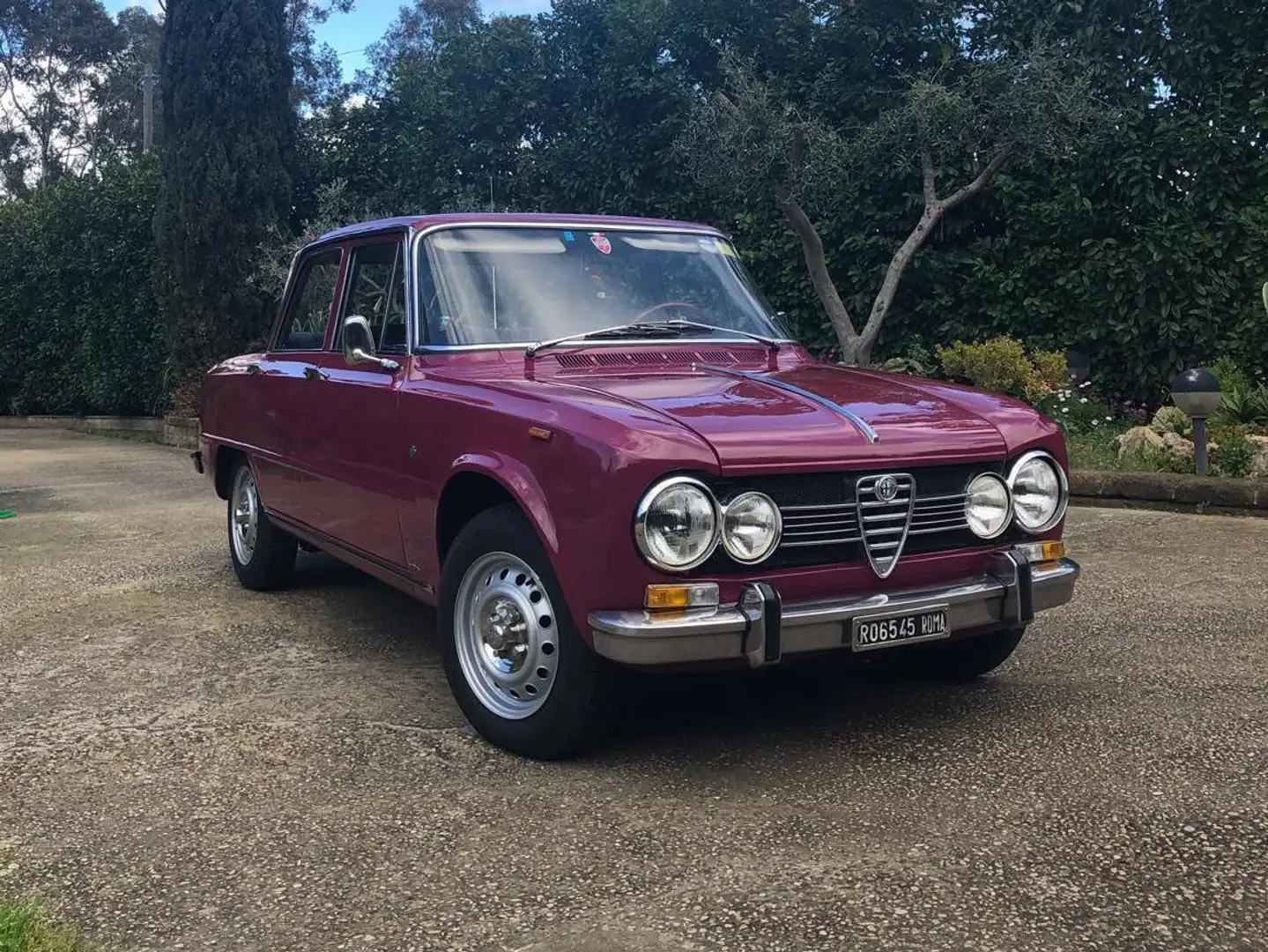 Alfa Romeo Giulia 1.3 Super Lilla - 2