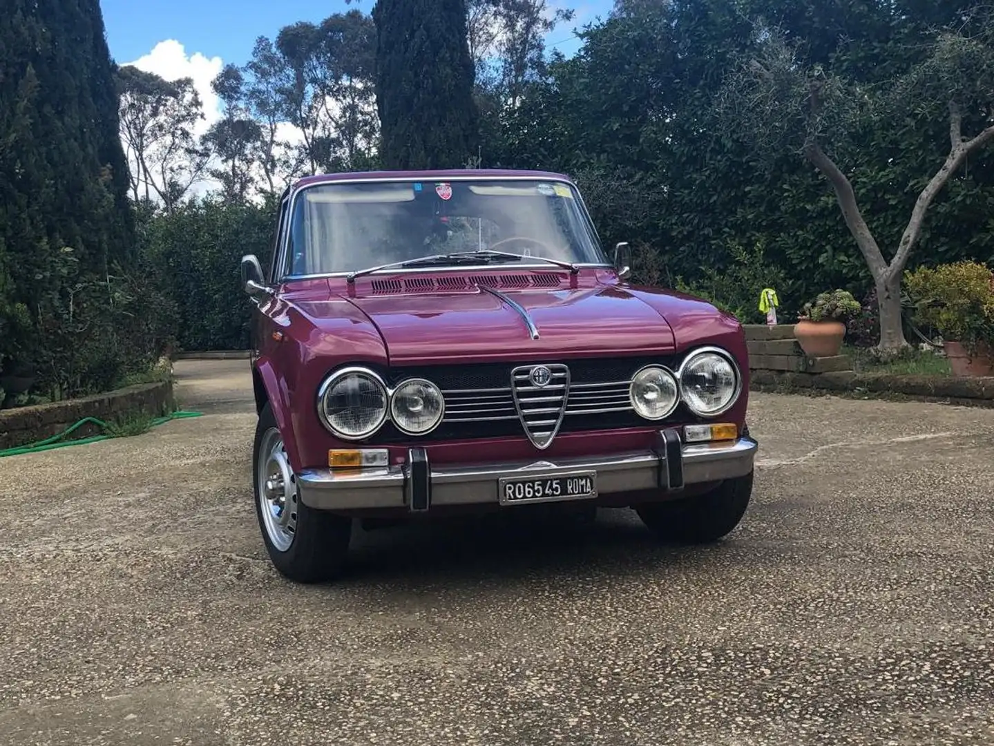 Alfa Romeo Giulia 1.3 Super Lilla - 1