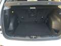 Jeep Compass Limited 1.6 MultiJet TETTO APRIBILE Bianco - thumbnail 21