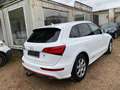 Audi Q5 3.0 TDI quattro S tronic Weiß - thumbnail 12