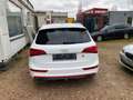 Audi Q5 3.0 TDI quattro S tronic Weiß - thumbnail 10