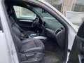 Audi Q5 3.0 TDI quattro S tronic Weiß - thumbnail 9