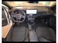 Ford Focus 1.5 ecoblue st-line 115cv auto Gris - thumbnail 5