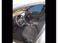 Ford Focus 1.5 ecoblue st-line 115cv auto Gris - thumbnail 12
