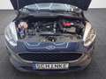 Ford Fiesta Trend *Finanzierung ab 99€* Bleu - thumbnail 19