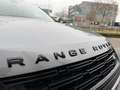 Land Rover Range Rover Evoque P300e Dynamic SE AWD Auto. 24MY Gris - thumbnail 12