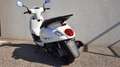 SYM Fiddle 125 ABS Alb - thumbnail 12