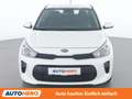 Kia Rio 1.2 Österreich Edition Weiß - thumbnail 9