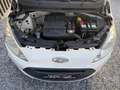 Ford Ka/Ka+ Ka 1.2i Ambiente / LEZ OK 2030 / Entretien + CT OK Blanc - thumbnail 24