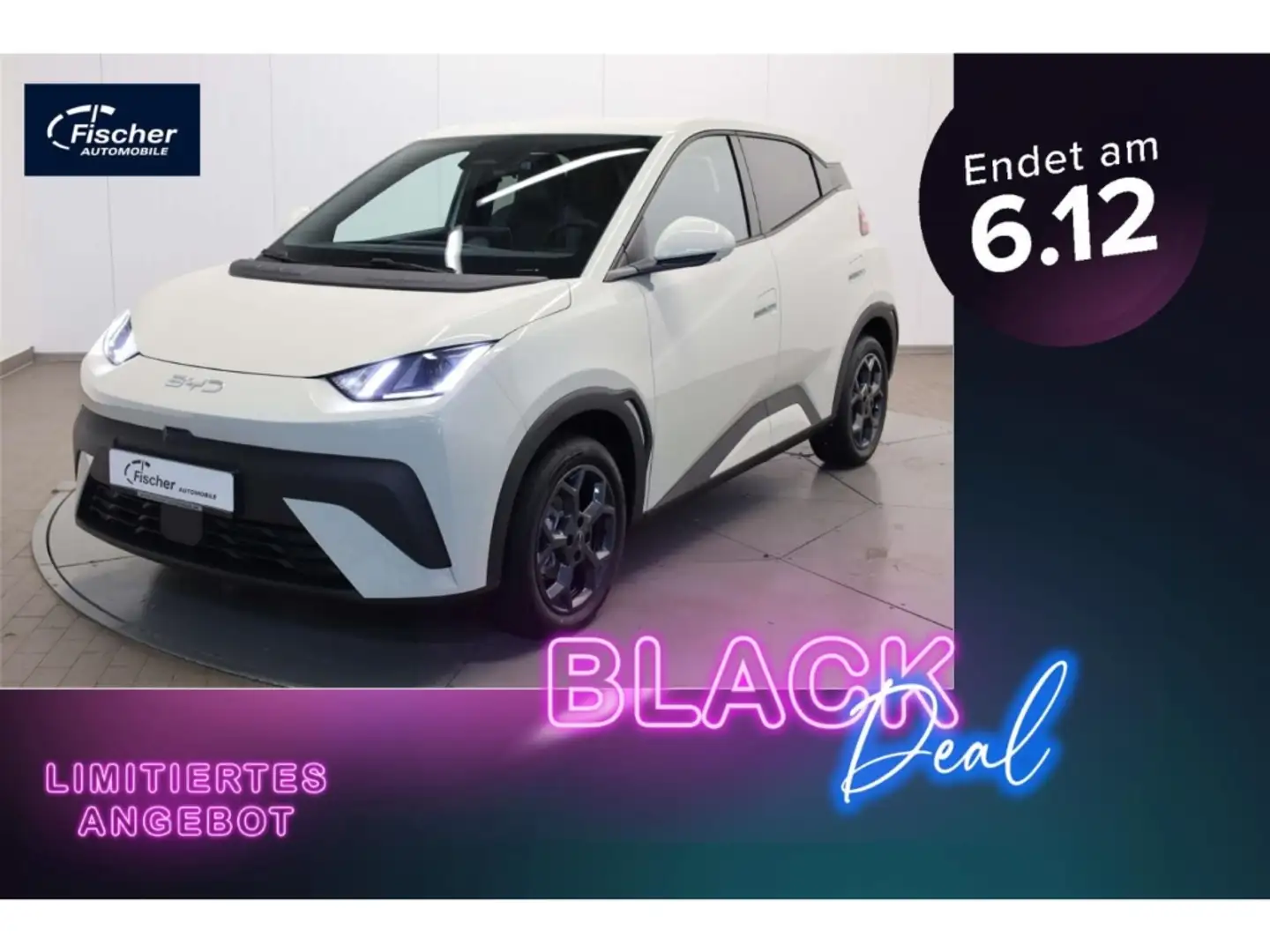 BYD Dolphin Elektro Comfort Белый - 1