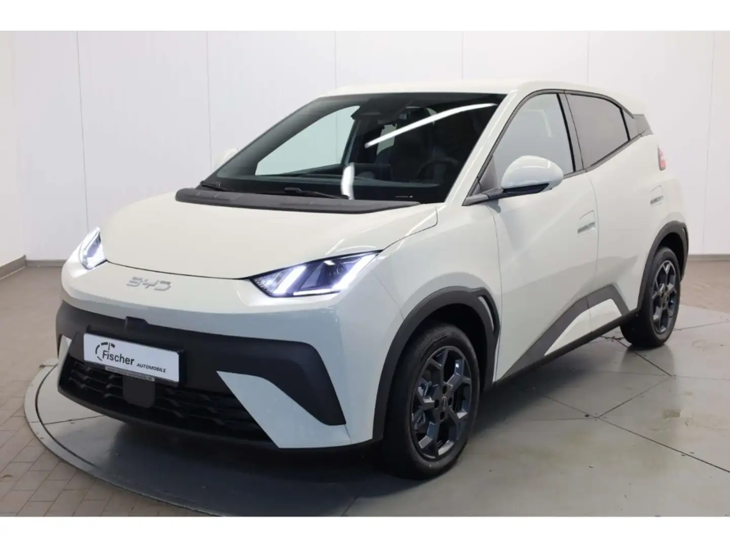 BYD Dolphin Elektro Comfort Белый - 2