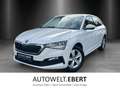Skoda Scala COOL PLUS 1,0l TSI LED/SHZ/PDC/KLIMA/DAB/ Blanco - thumbnail 1
