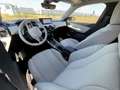 DS Automobiles DS 3 Crossback BlueHDi Grand Chic AUT.Leder+massage,HeadUp,Adapt Grijs - thumbnail 20