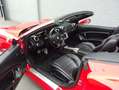 Ferrari California California 30 (Unique Edition) Rood - thumbnail 20